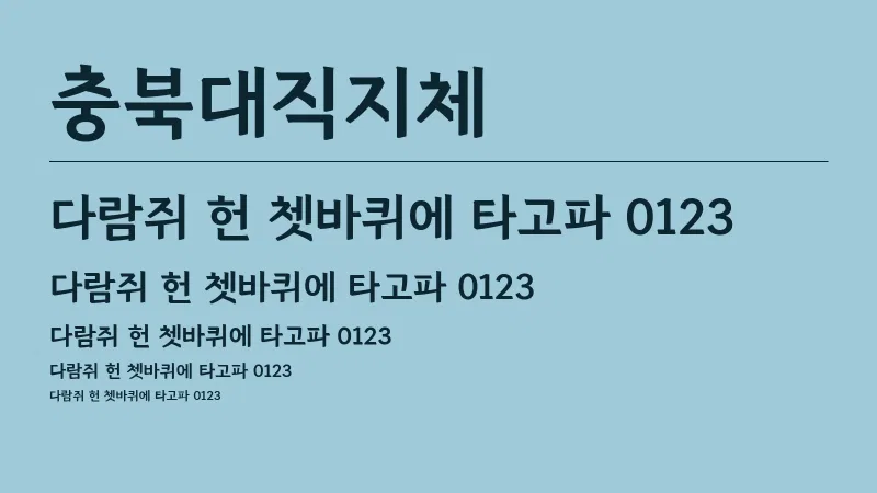 충북대직지체 글자 견본 예시