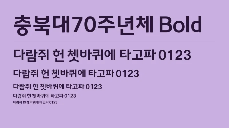 충북대70주년체 Bold 글자 견본 예시