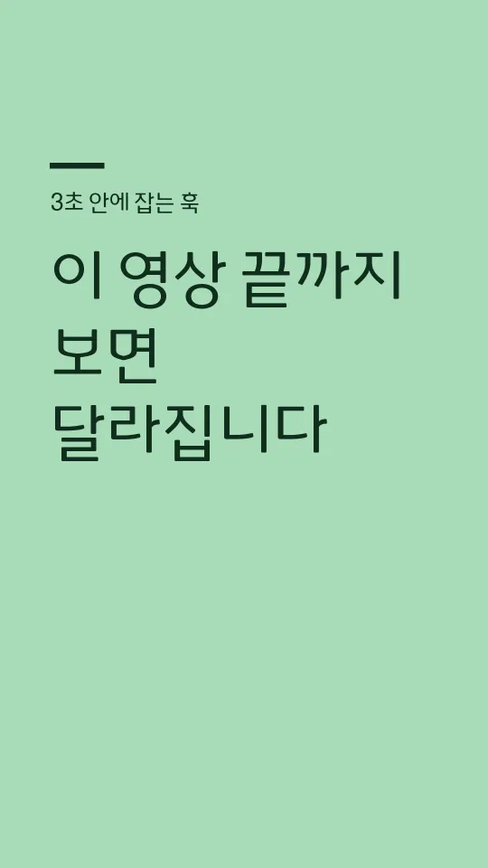충북대70주년체R 훅 타이틀 예시