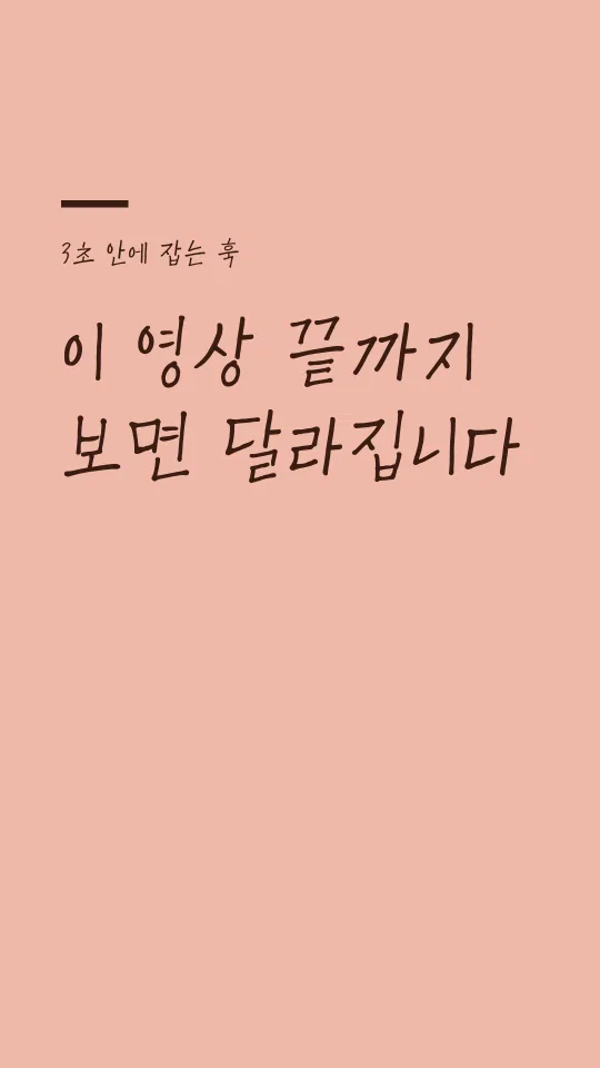 칠곡할매 추유을체 훅 타이틀 예시