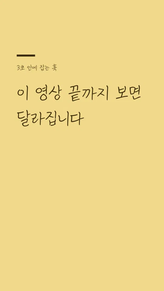 평창월오개체 Regular 훅 타이틀 예시