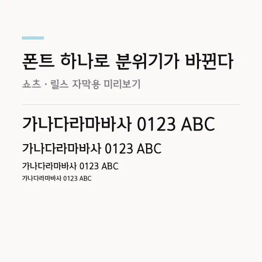 평택노을체 Bold 썸네일 예시