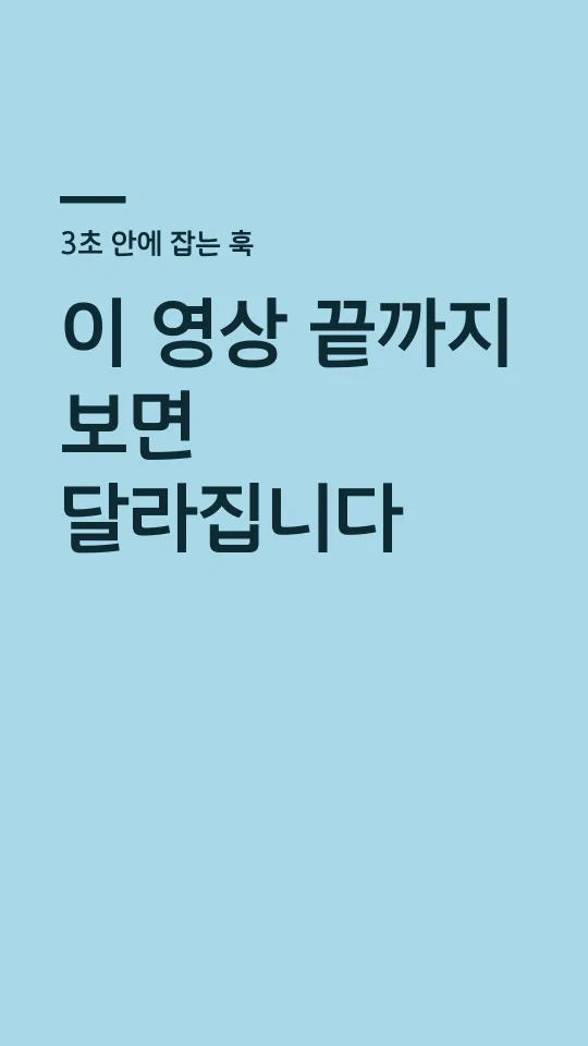 평택반도체 Bold 훅 타이틀 예시