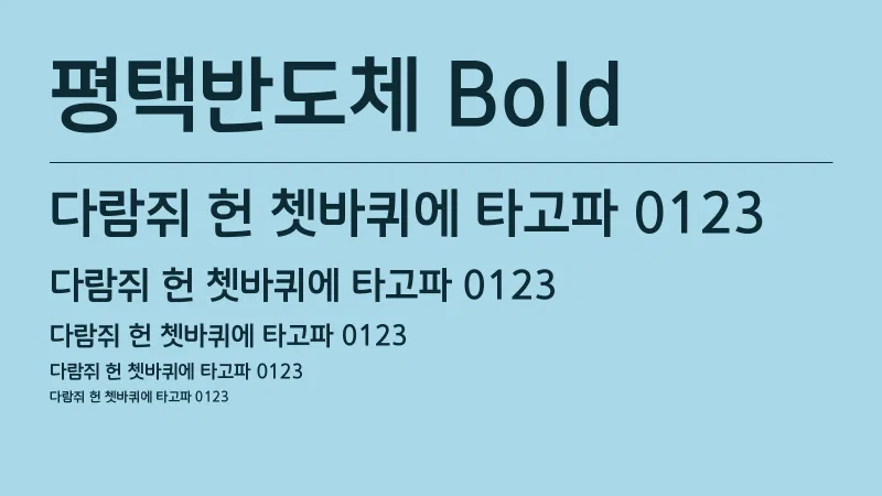 평택반도체 Bold 글자 견본 예시