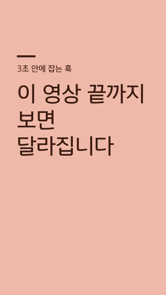 평택반도체 Regular 훅 타이틀 예시