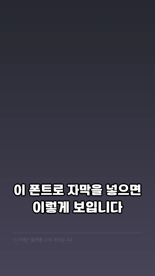 평택안보체 Regular 자막 예시