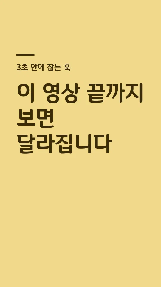 포천 오성과 한음 Bold 훅 타이틀 예시