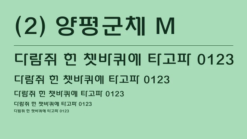 (2) 양평군체 M 글자 견본 예시