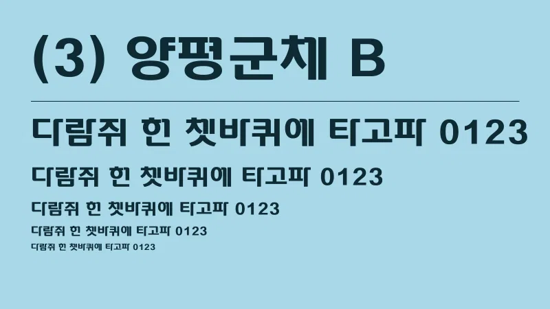 (3) 양평군체 B 글자 견본 예시