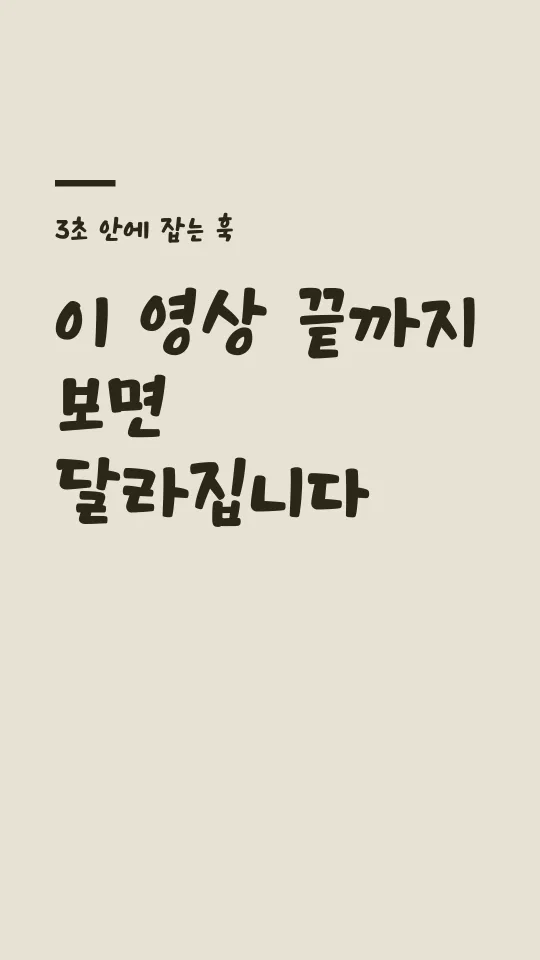 KCC무럭무럭 훅 타이틀 예시