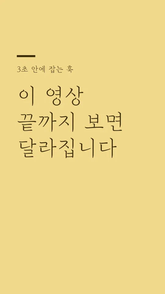 Mapo꽃섬 훅 타이틀 예시
