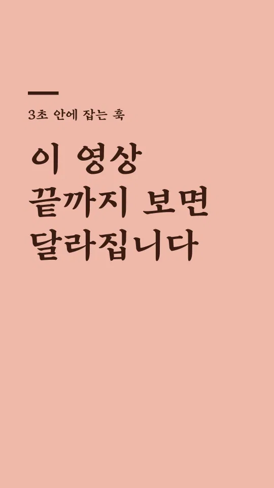 Mapo애민 훅 타이틀 예시
