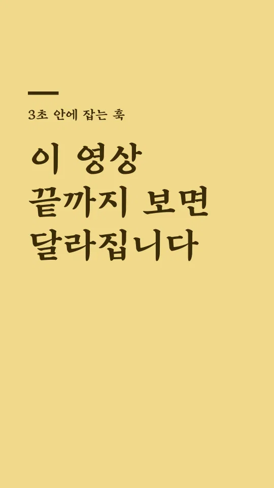 Mapo 애민 훅 타이틀 예시
