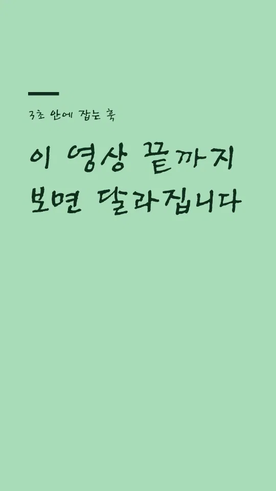 Tlab신영복 훅 타이틀 예시